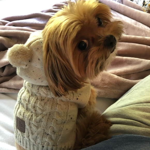 Meet your Posher, Mandy - Picture 3 of 4